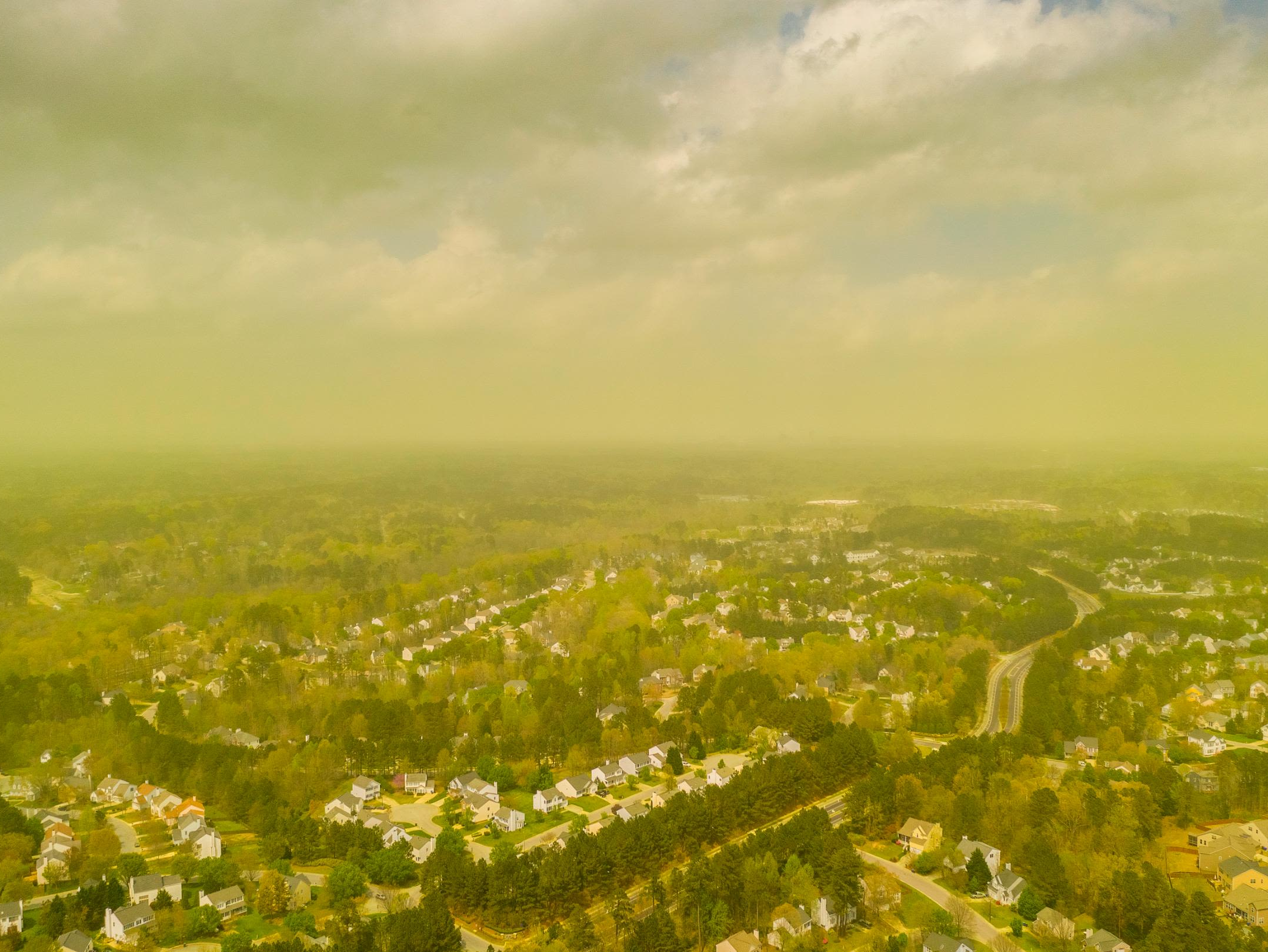 Was UNC Admissions responsible for the surplus of pollen this spring?