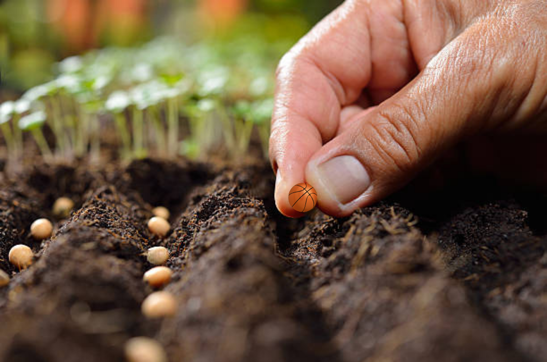 UNC Basketball fans rejoice over No. 1 seed placement; UNC Botanist Society befuddled